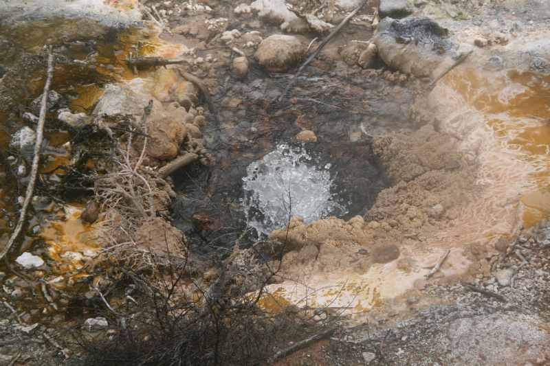 Nieuw-Zeeland 2011 - 0703